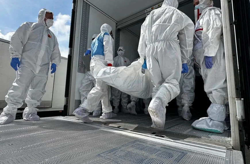Ukraine Receives 1,000 Bodies from Russia in Latest Exchange